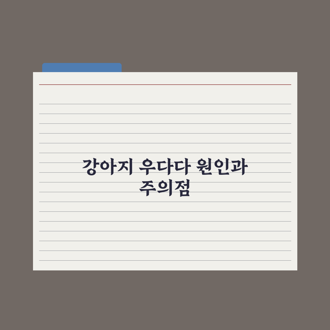 강아지 우다다(분비 활동) 원인과 대처 심층분석: 전문가의 3단계 솔루션