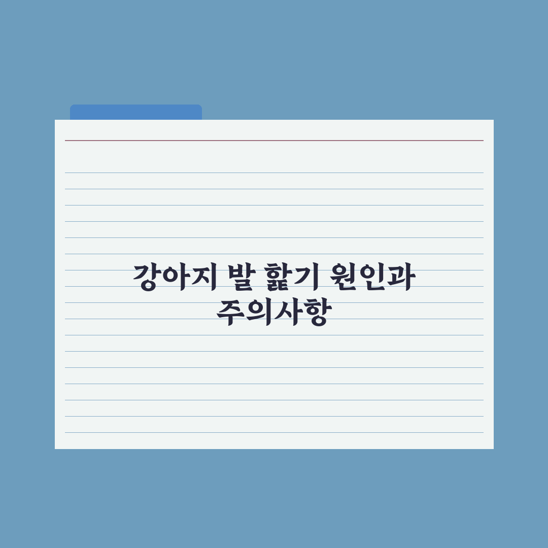 강아지 발 핥기 - 원인과 멈추는 법 완벽가이드, 전문가가 분석한 5가지 핵심
