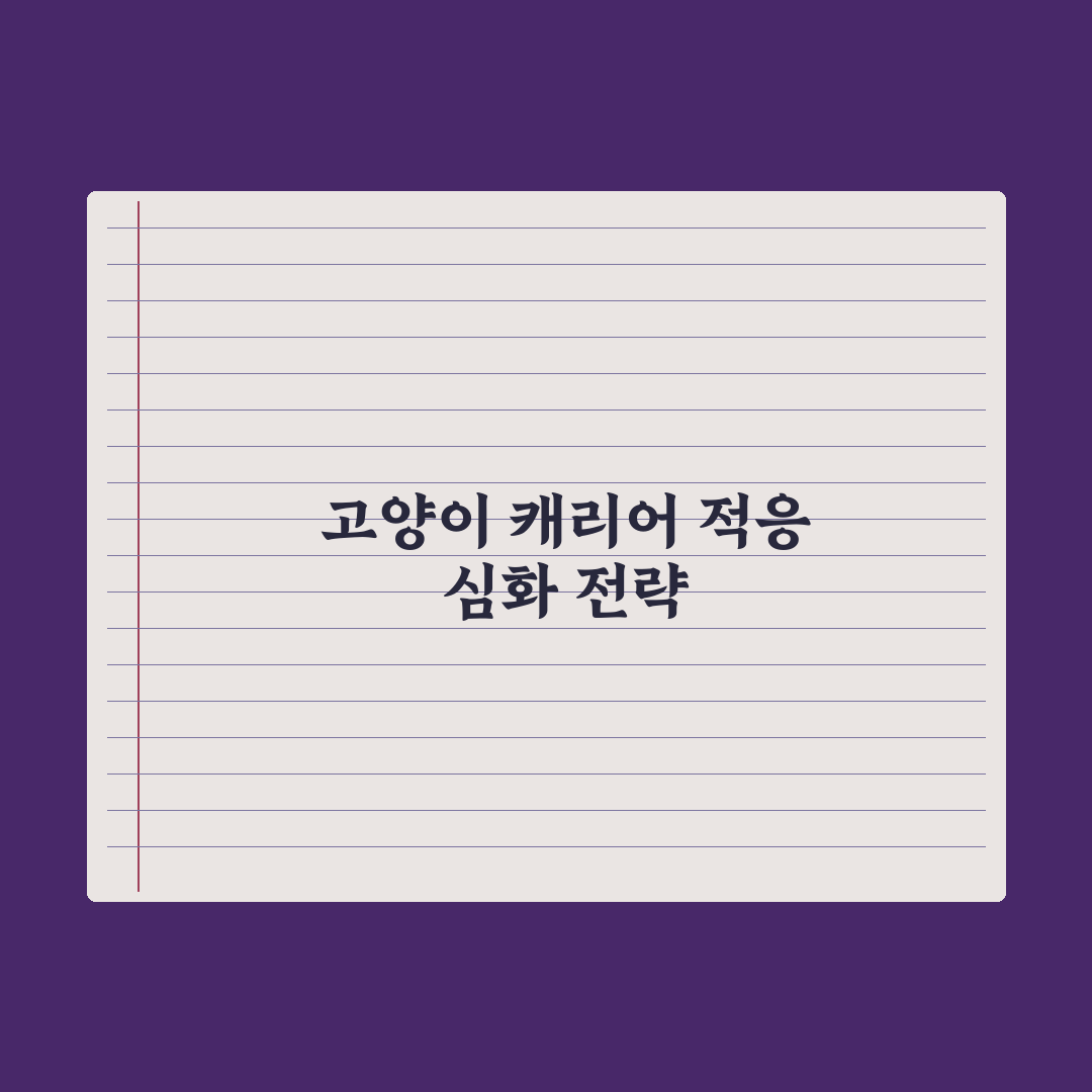 고양이 캐리어 적응 훈련법 완벽가이드: 전문가가 검증한 5단계 핵심정리