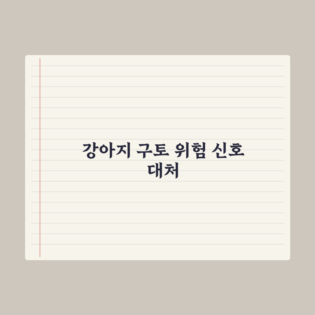 강아지 구토 - 위험 신호와 병원 가야 할 때 심층분석, 놓치기 쉬운 5가지 핵심 징후