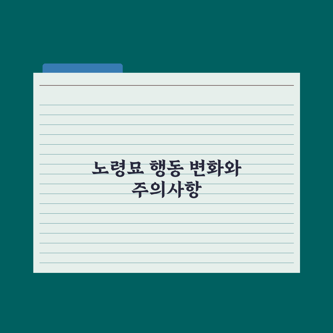 노령묘 행동 변화와 케어 포인트 완벽가이드: 전문가가 분석한 5대 핵심 징후