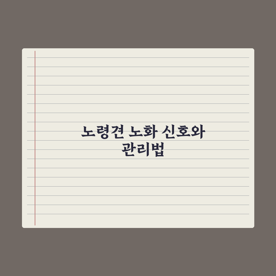 노령견 노화 신호 10가지와 관리 포인트 심층분석, 보호자가 놓치기 쉬운 5가지 지표