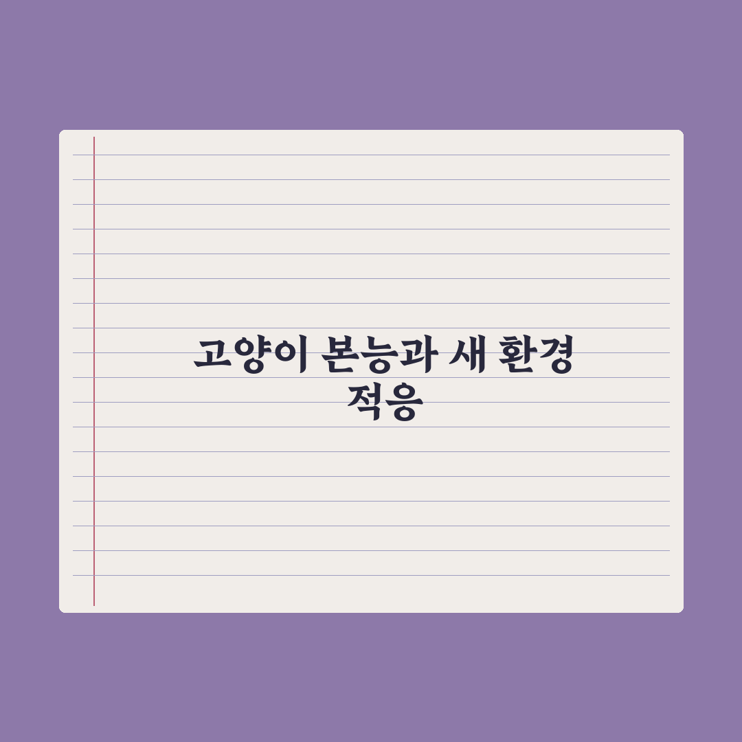 고양이 새 환경 적응시키는 법 완벽가이드, 전문가가 검증한 5가지 핵심원칙