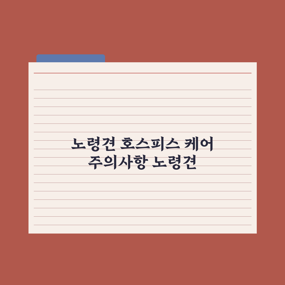 노령견 호스피스 케어와 마음 준비 완벽가이드, 전문가의 7가지 심층 조언