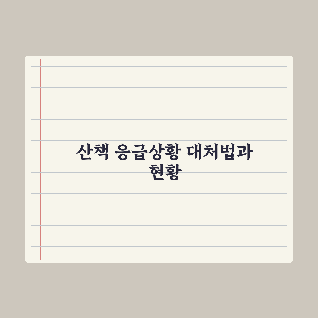 강아지 산책 중 응급 상황 대처법 핵심정리: 전문가 검증 5가지 대응 수칙
