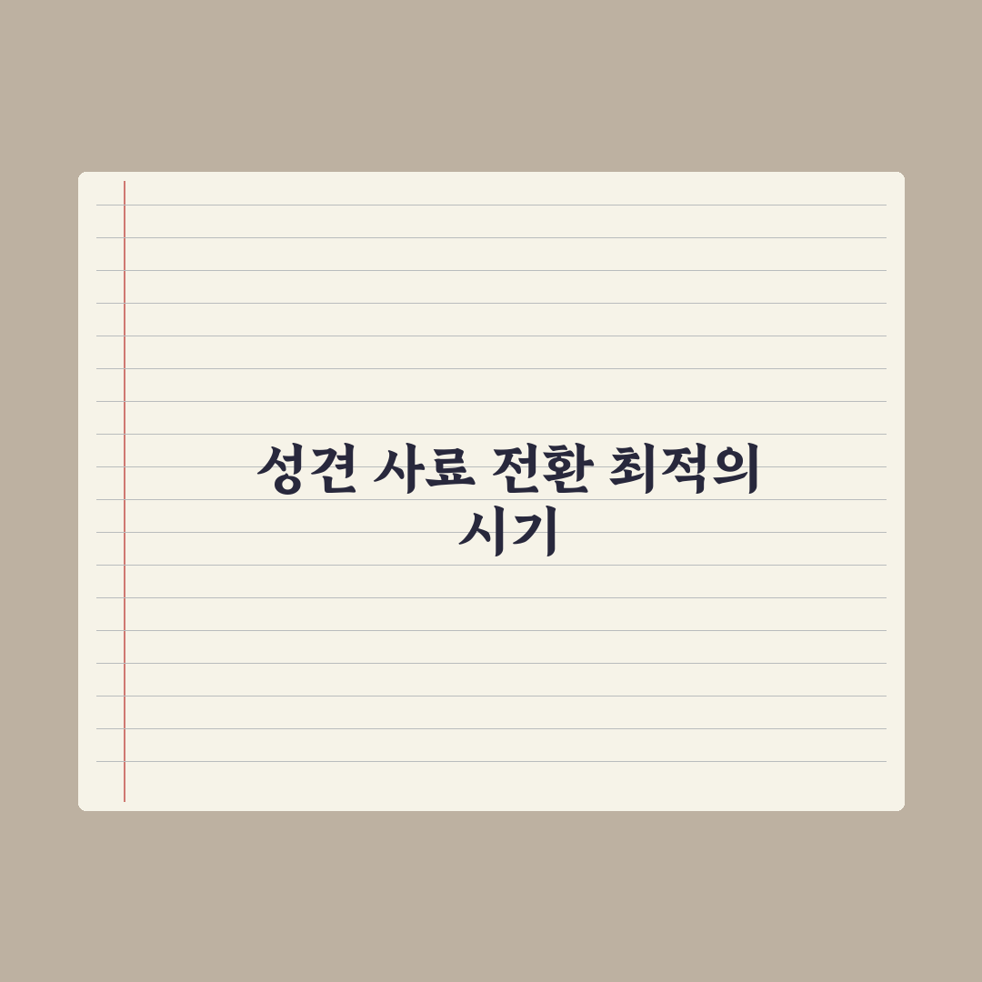 퍼피 사료 vs 성견 사료, 언제 바꿔야 할까 심층분석, 전문가 3대 시점
