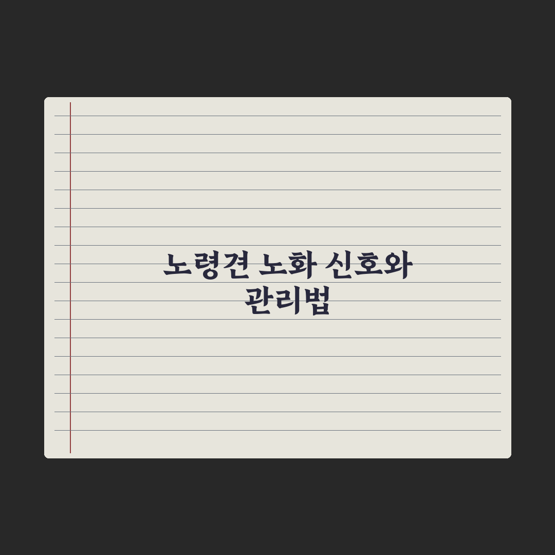노령견 노화 신호 10가지와 관리 포인트 심층분석, 보호자가 놓치기 쉬운 5가지 지표