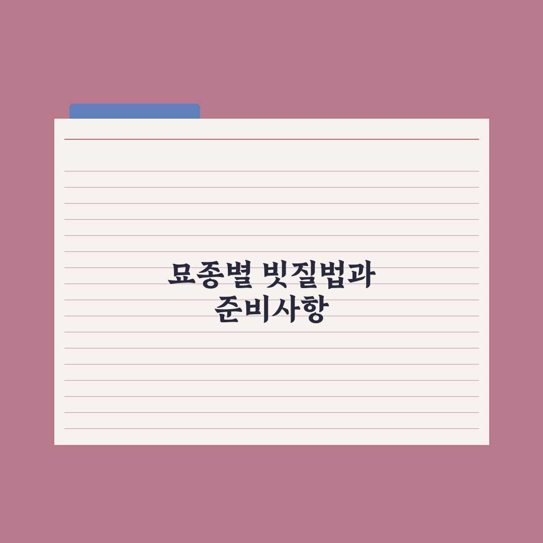 고양이 빗질 - 단모종·장모종별 방법 완벽가이드, 전문가의 5단계 수칙