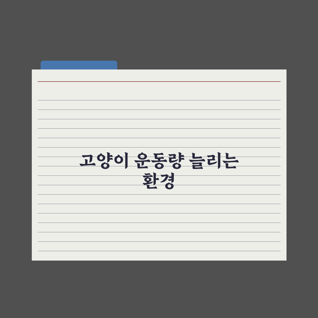 실내 고양이 운동량 늘리는 환경 만들기 실전가이드, 전문가의 5단계 전략