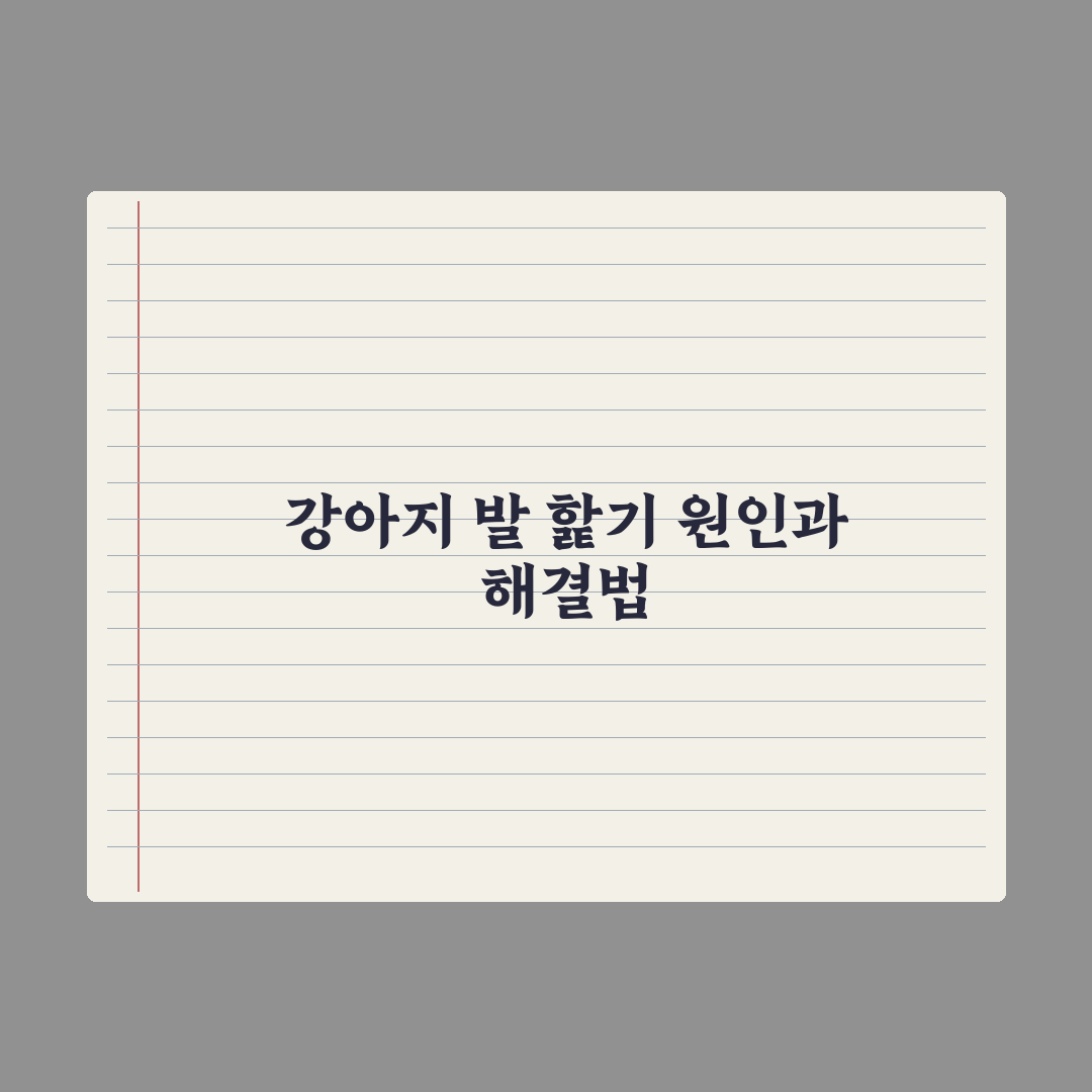 강아지 발 핥기 - 원인과 멈추는 법 완벽가이드, 전문가가 분석한 5가지 핵심