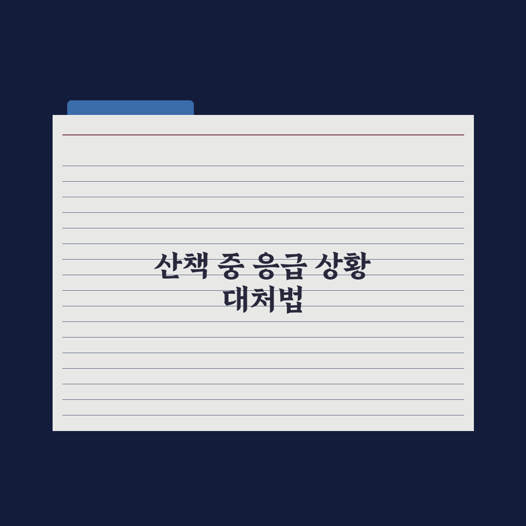 강아지 산책 중 응급 상황 대처법 핵심정리: 전문가 검증 5가지 대응 수칙