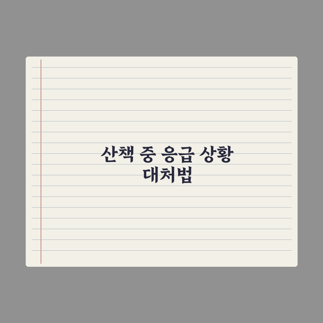 강아지 산책 중 응급 상황 대처법 핵심정리: 전문가 검증 5가지 대응 수칙