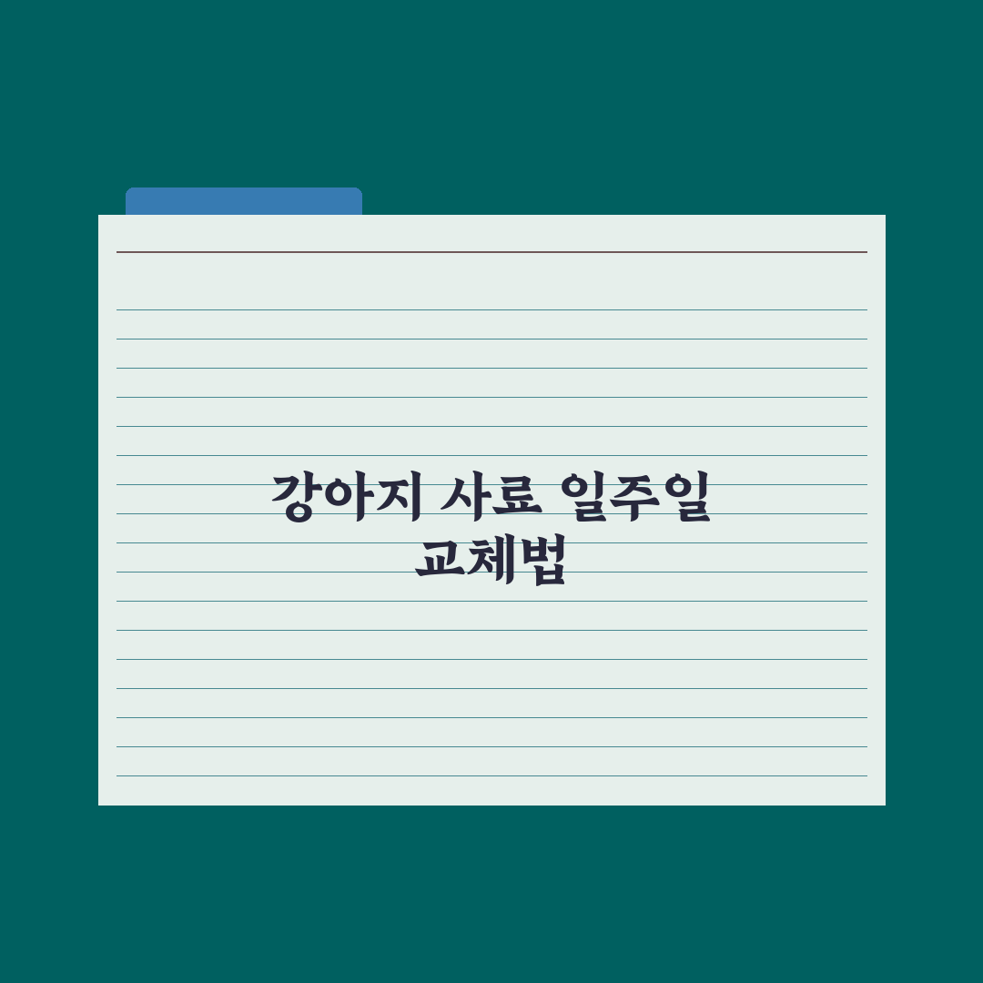 강아지 사료 바꾸는 법 - 일주일 전환 가이드 실전가이드, 전문가 5단계