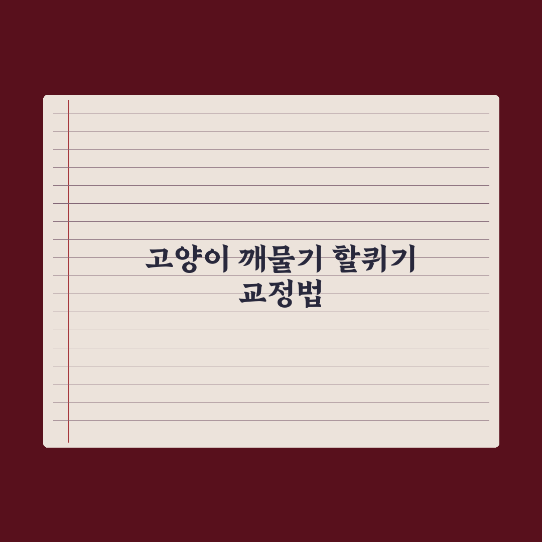 고양이 깨물기·할퀴기 교정법 완벽가이드: 전문가가 검증한 5단계 솔루션