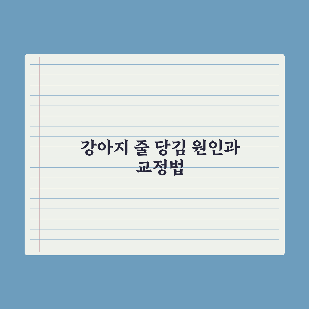 강아지 산책 훈련 - 줄 당김 교정 완벽가이드: 전문가가 검증한 5단계 핵심 전략