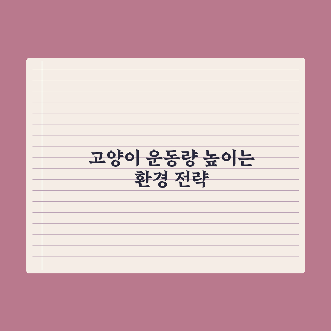 실내 고양이 운동량 늘리는 환경 만들기 실전가이드, 전문가의 5단계 전략