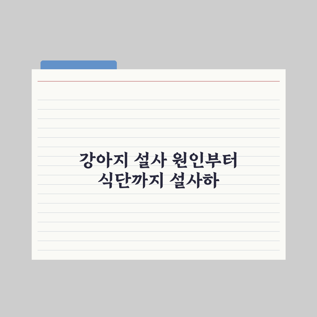 강아지 설사 - 원인별 대처와 식단 총정리, 전문가가 분석한 5단계 대응