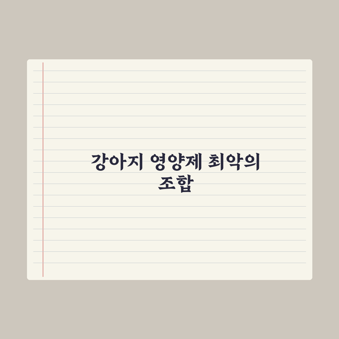 강아지 영양제 같이 먹으면 안 되는 조합 심층분석, 전문가 검증 5가지 원칙