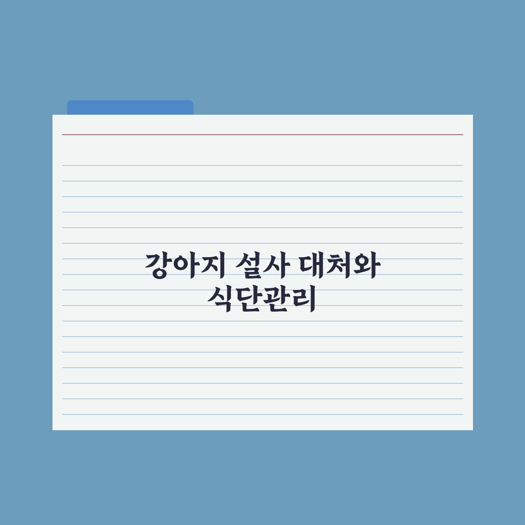 강아지 설사 - 원인별 대처와 식단 총정리, 전문가가 분석한 5단계 대응