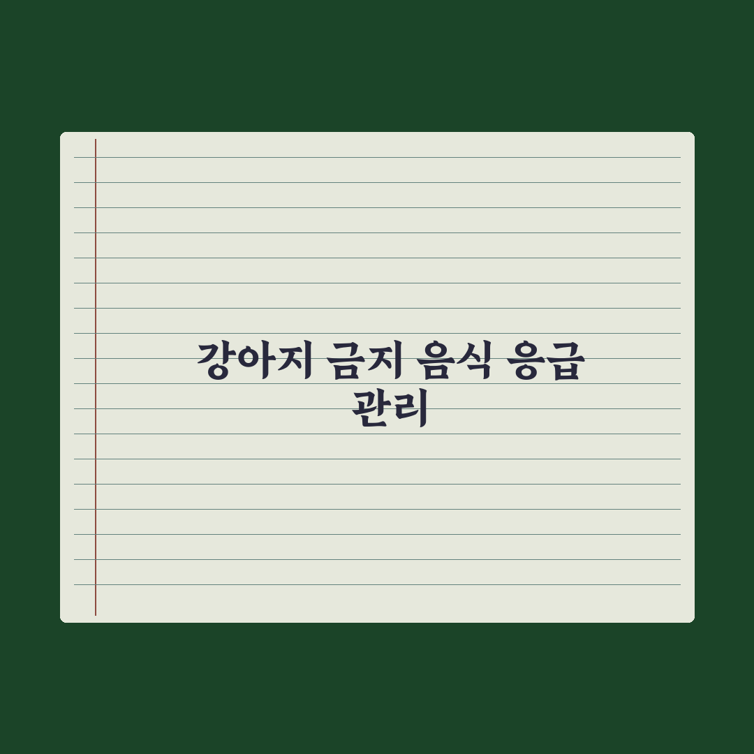 강아지가 먹으면 안 되는 음식 30가지 실전가이드: 전문가가 선별한 핵심