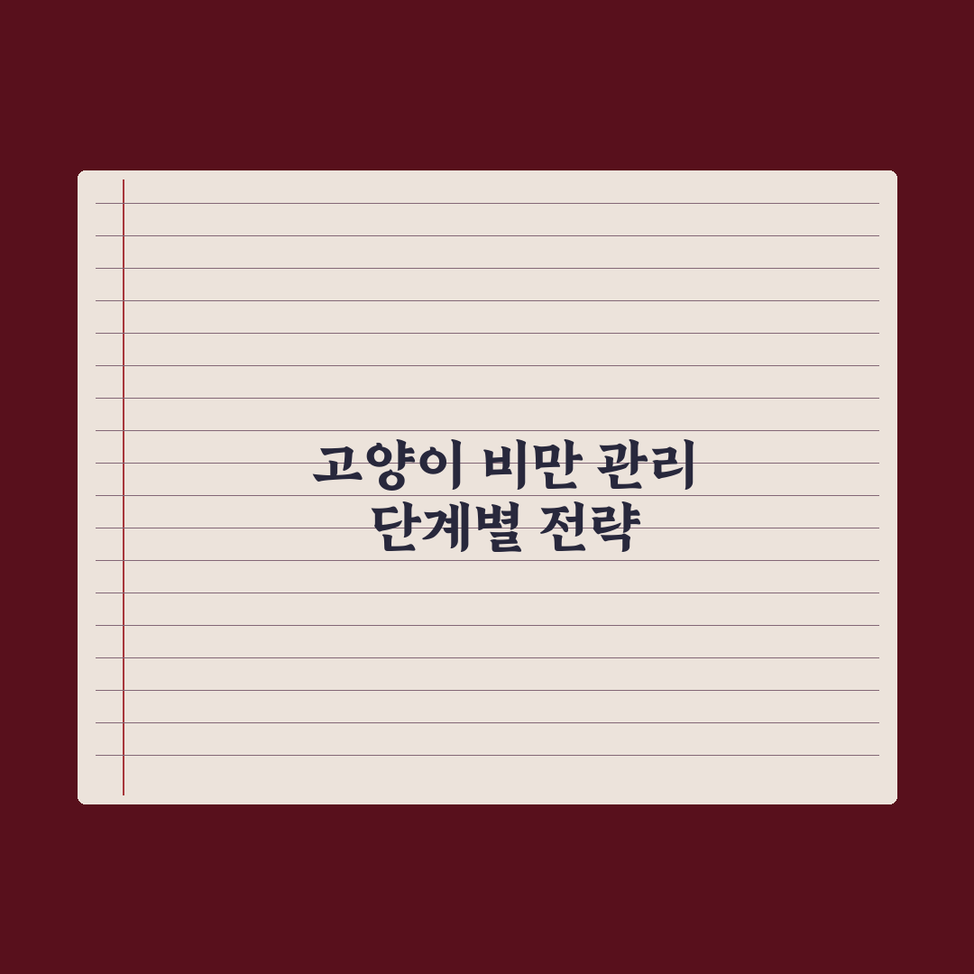 고양이 비만 - 적정 체중과 다이어트 시작 시기 완벽가이드: 5단계 핵심 지표