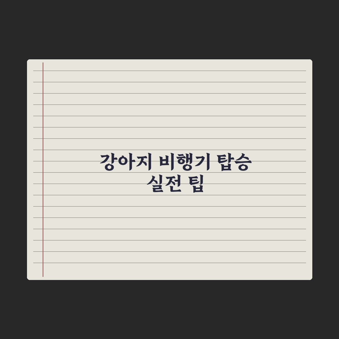 강아지 비행기 탑승 가이드 - 국내·국제선 완벽가이드: 전문가 5대 수칙