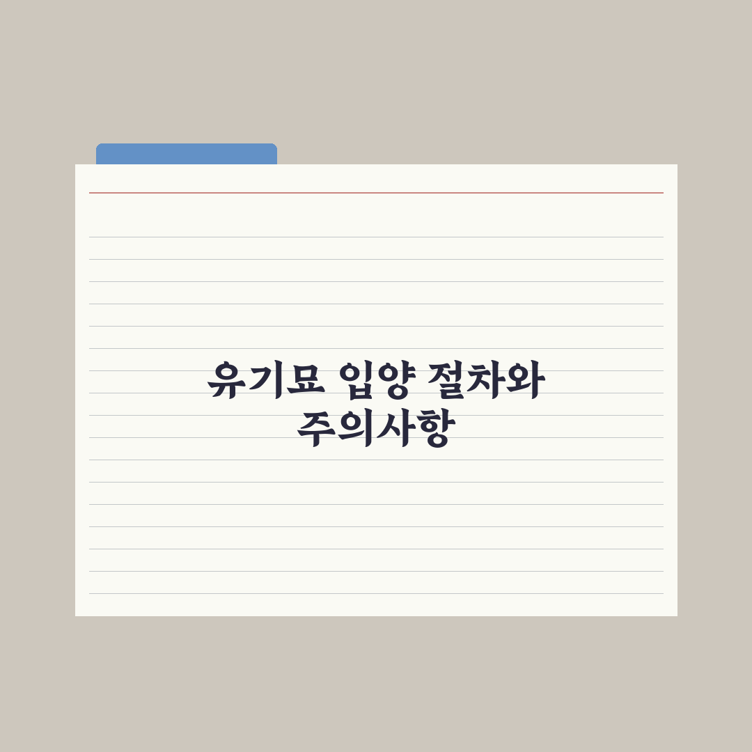 유기묘 입양 가이드 - 고려할 점과 절차 완벽가이드: 7가지 핵심정리