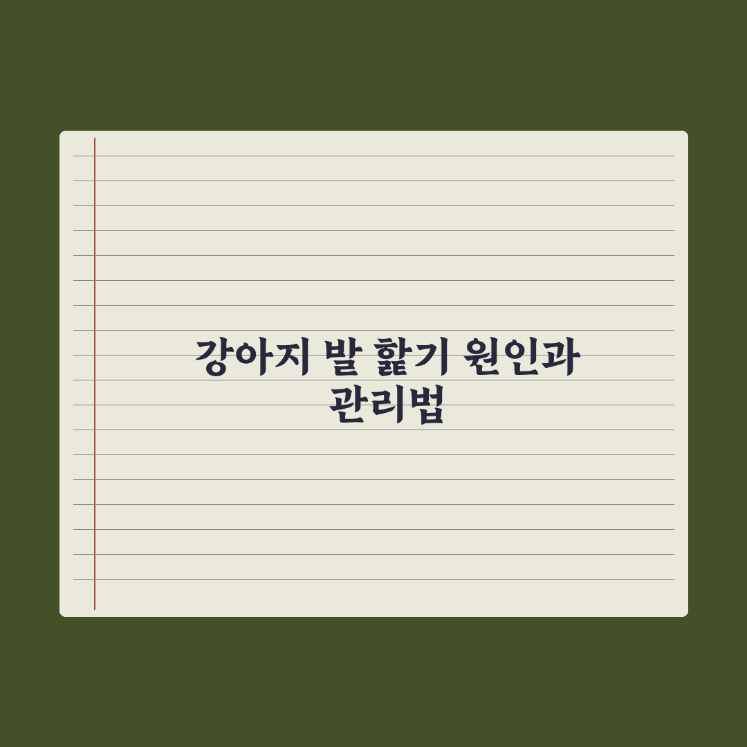 강아지 발 핥기 - 원인과 멈추는 법 완벽가이드, 전문가가 분석한 5가지 핵심