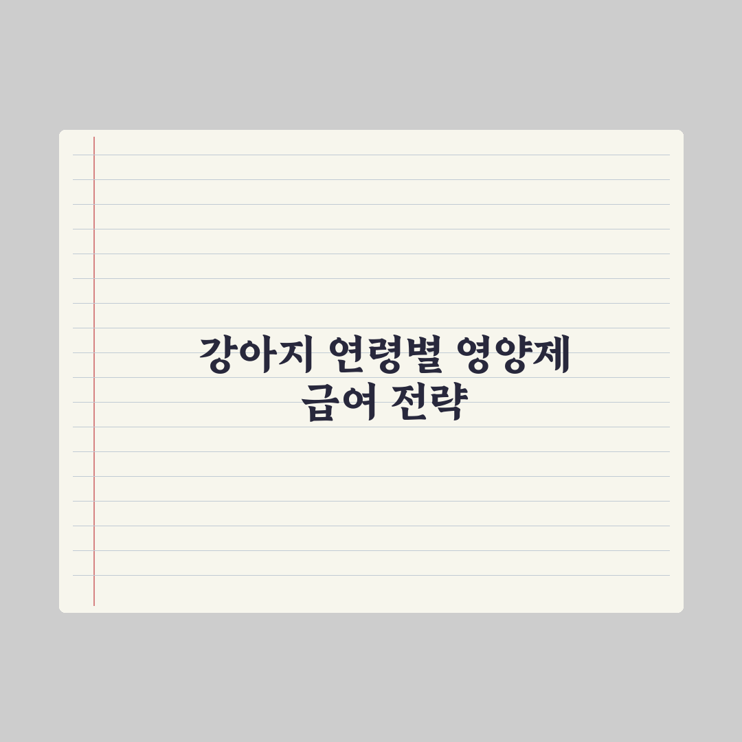 강아지 영양제 급여 시기 - 연령별 가이드 완벽가이드, 5단계 핵심정리