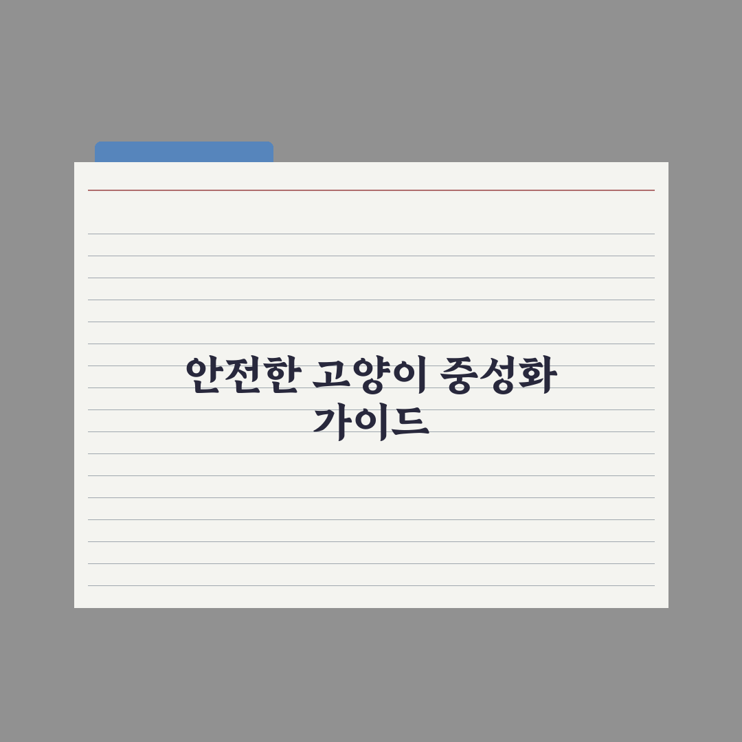 고양이 중성화 수술 가이드 심층분석: 전문가가 검증한 7가지 핵심 수칙