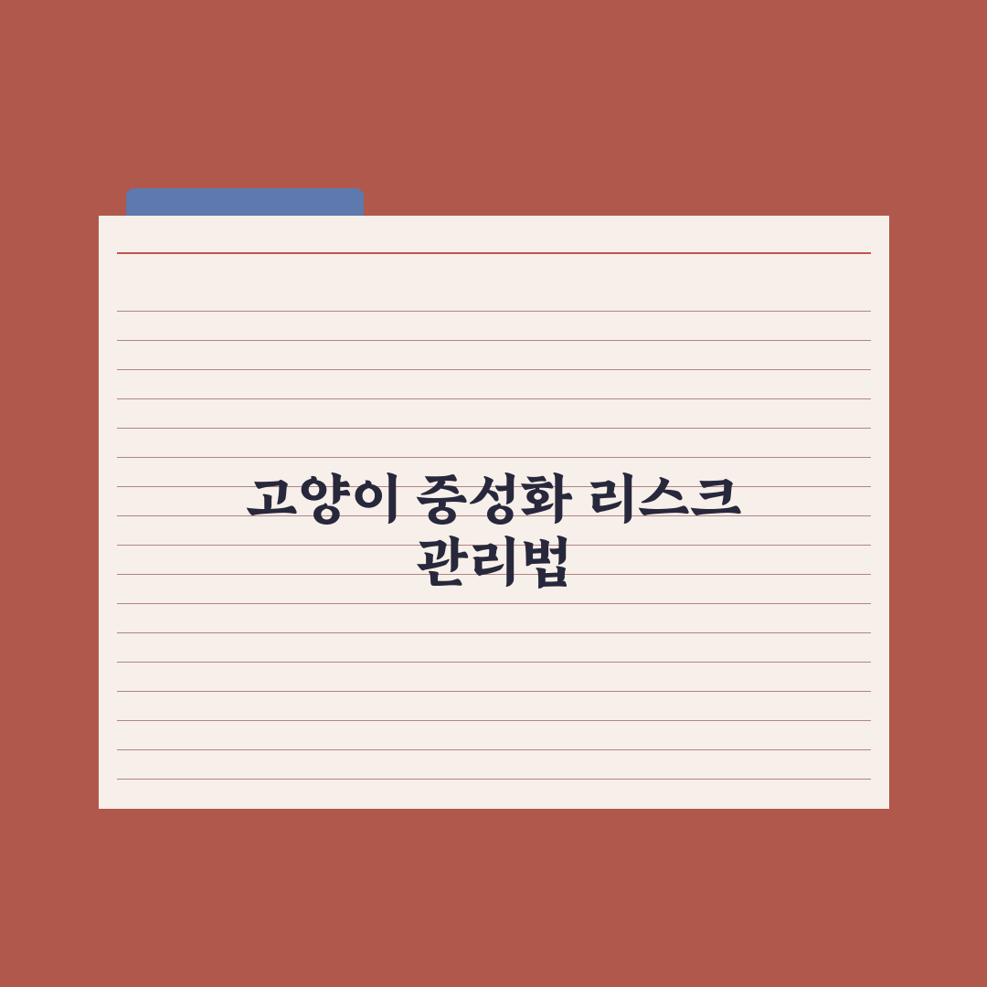 고양이 중성화 수술 가이드 심층분석: 전문가가 검증한 7가지 핵심 수칙