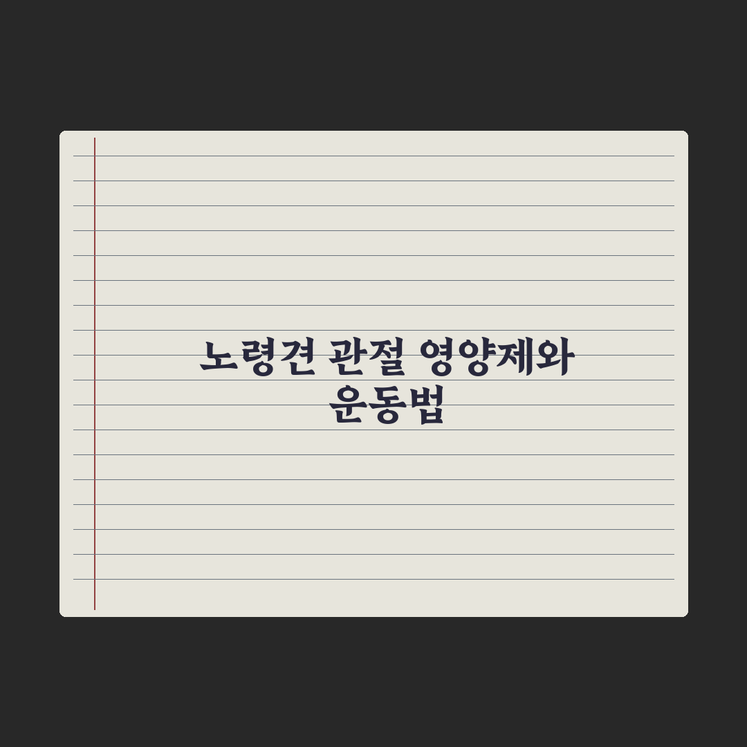 노령견 관절 케어 - 영양제와 운동법 완벽가이드, 전문가가 검증한 5단계 핵심 수칙