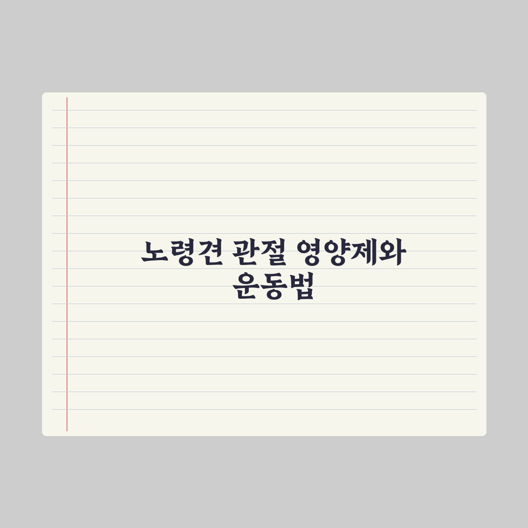 노령견 관절 케어 - 영양제와 운동법 완벽가이드, 전문가가 검증한 5단계 핵심 수칙