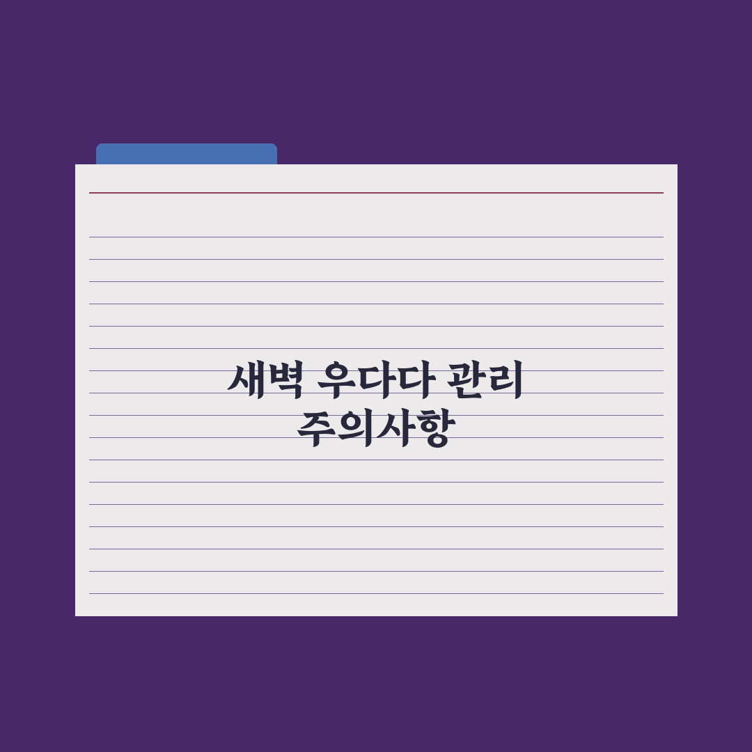 고양이 우다다·새벽 활동 줄이는 법 완벽가이드: 전문가가 검증한 5단계