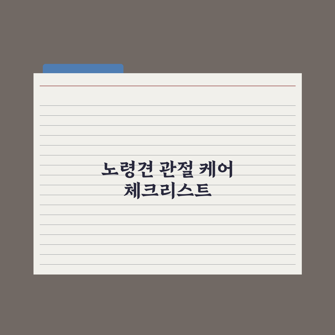 노령견 관절 케어 - 영양제와 운동법 완벽가이드, 전문가가 검증한 5단계 핵심 수칙