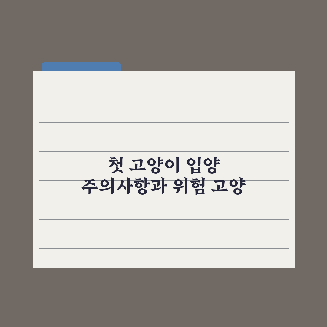 처음 고양이를 데려올 때 필수 준비물 15가지 총정리: 전문가 핵심 분석