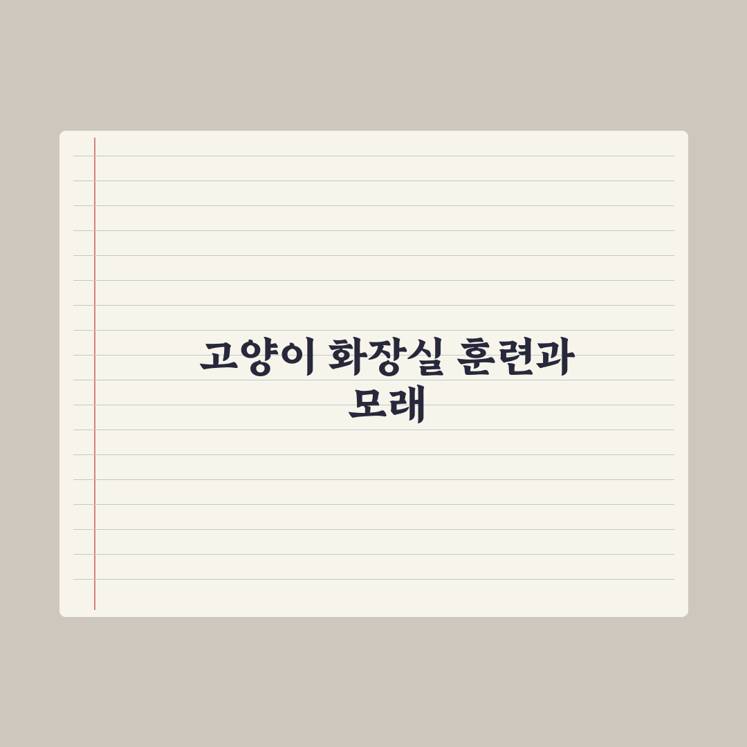 고양이 화장실 훈련과 모래 선택법 핵심정리, 전문가가 검증한 5가지 원칙