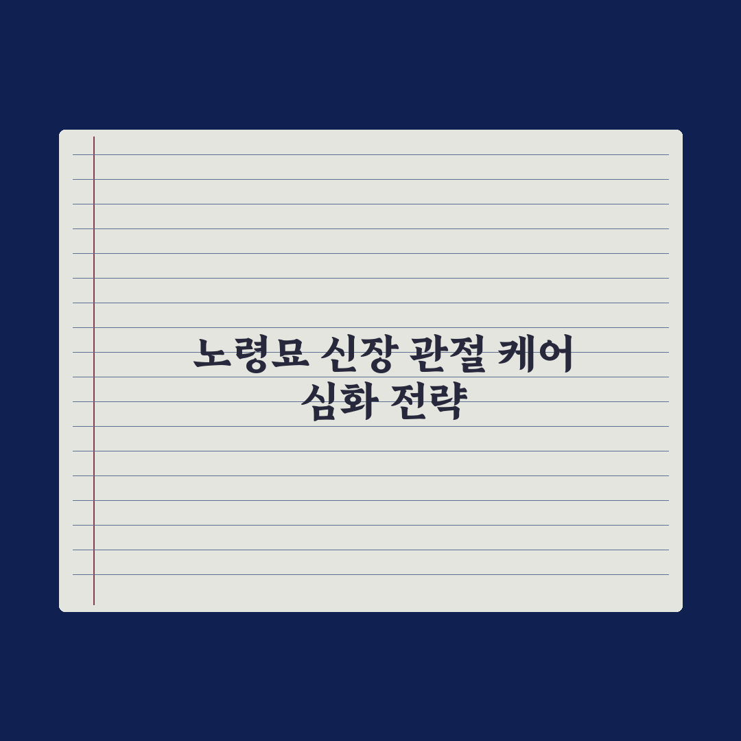 노령묘 사료 - 신장·관절 케어 성분 정리 총정리, 전문가 검증 5대 핵심 지표