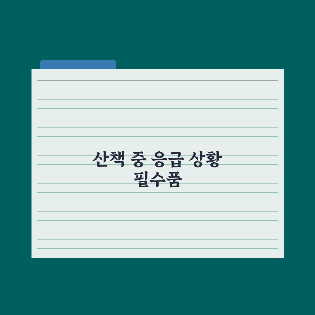 강아지 산책 중 응급 상황 대처법 핵심정리: 전문가 검증 5가지 대응 수칙