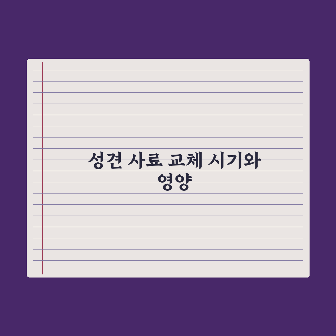 퍼피 사료 vs 성견 사료, 언제 바꿔야 할까 심층분석, 전문가 3대 시점