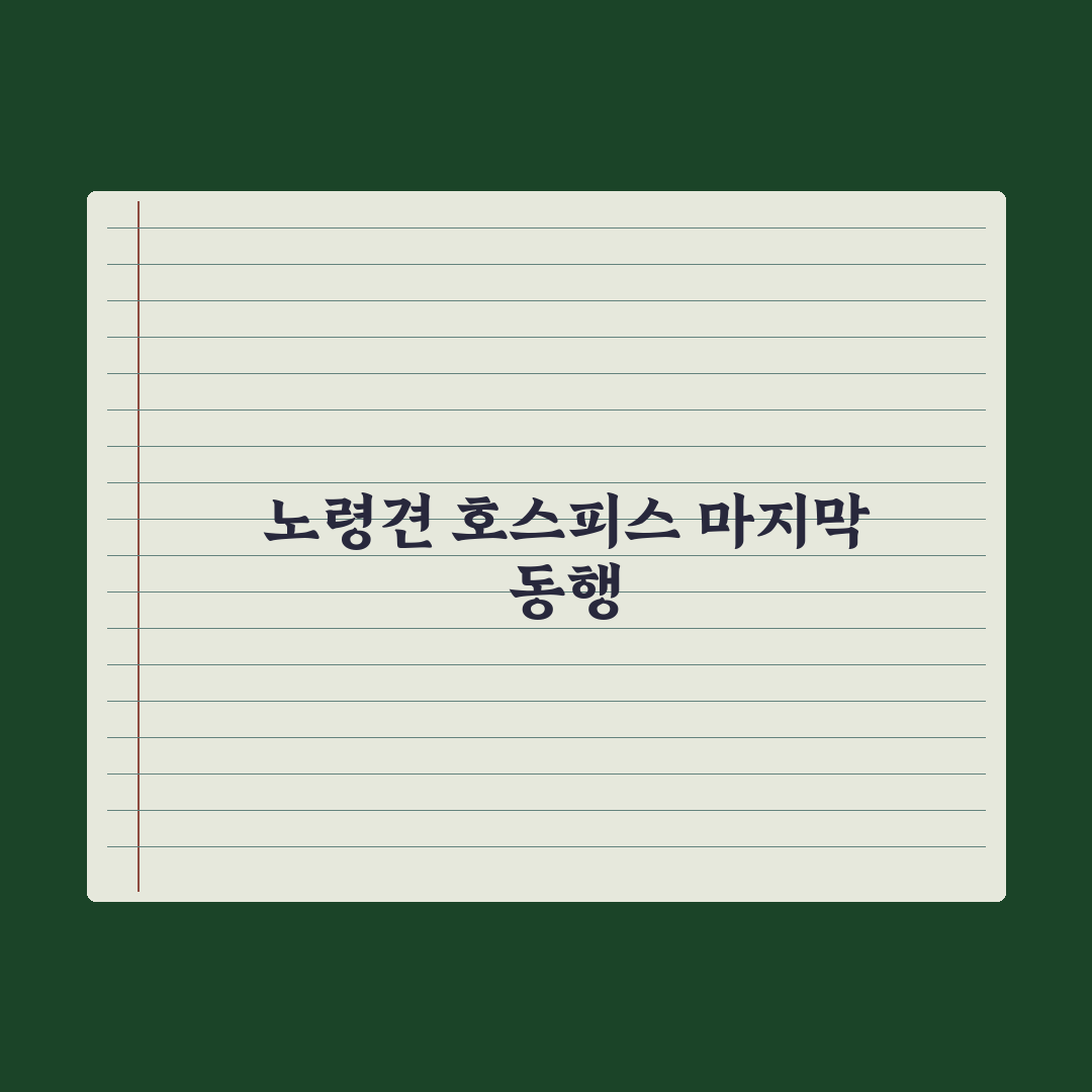 노령견 호스피스 케어와 마음 준비 완벽가이드, 전문가의 7가지 심층 조언