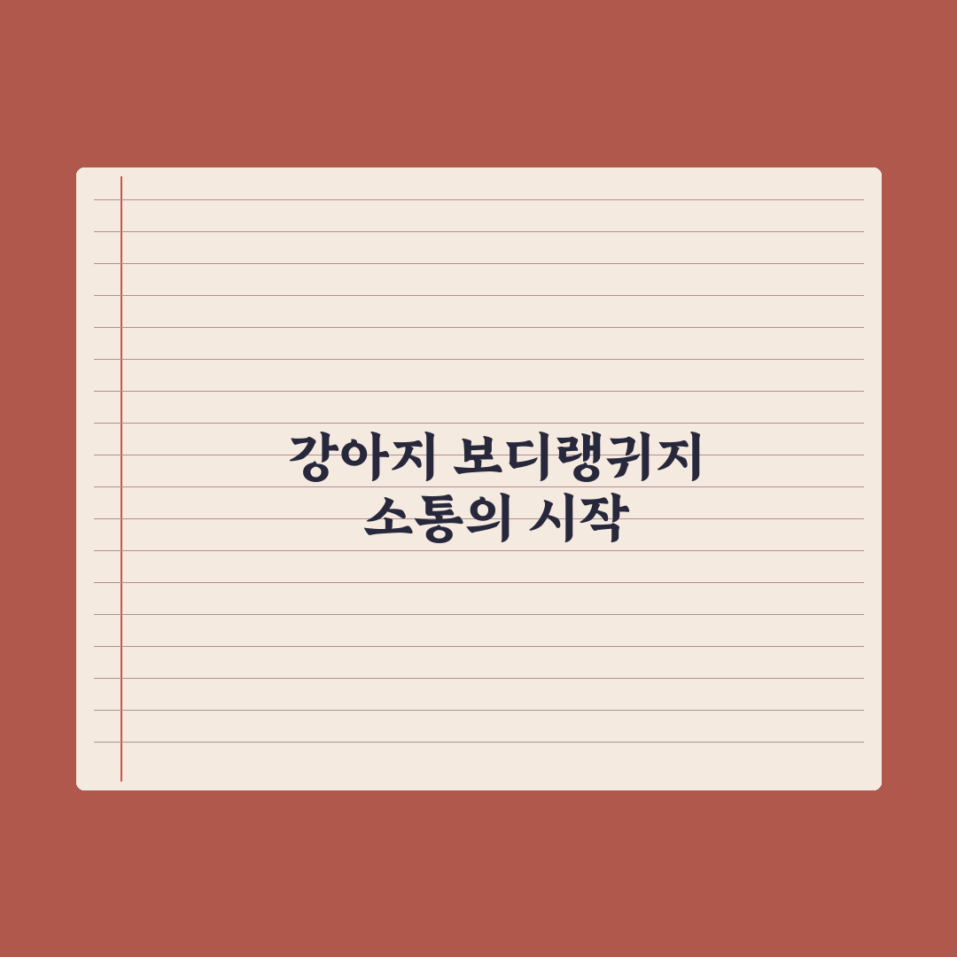 강아지 보디랭귀지 읽는 법 심층분석, 초보 견주를 위한 5단계 실전가이드