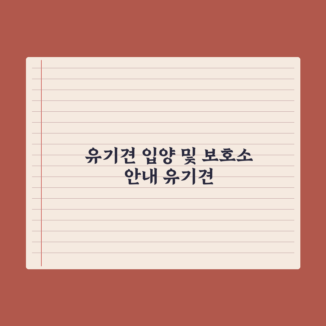 유기견 입양 절차와 보호소 정보 완벽가이드: 현장 전문가가 검증한 5단계 핵심 전략