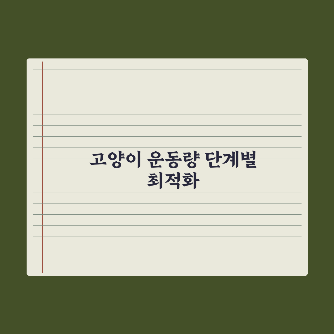 실내 고양이 운동량 늘리는 환경 만들기 실전가이드, 전문가의 5단계 전략