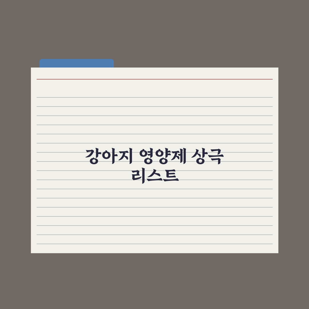 강아지 영양제 같이 먹으면 안 되는 조합 심층분석, 전문가 검증 5가지 원칙