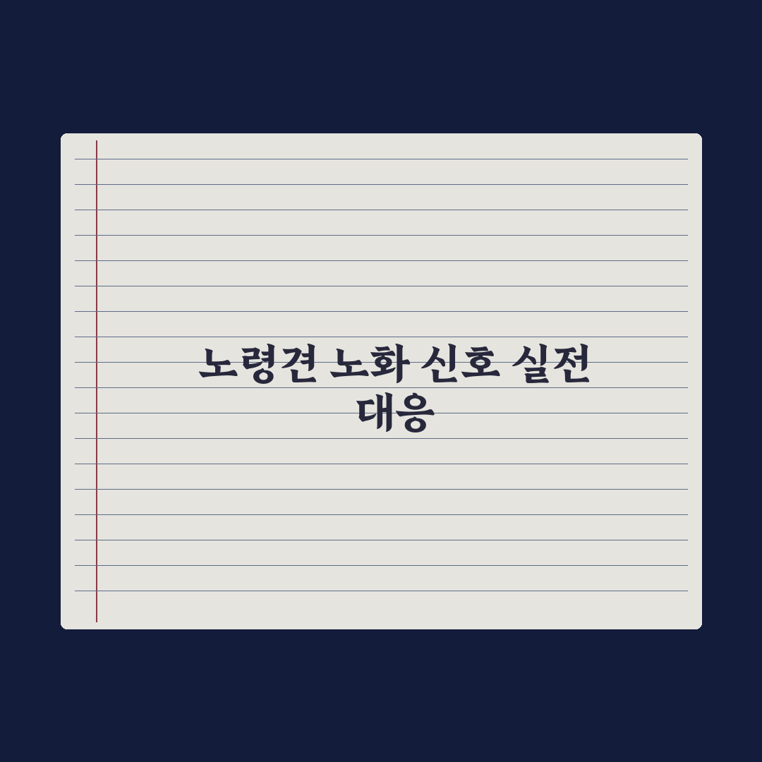 노령견 노화 신호 10가지와 관리 포인트 심층분석, 보호자가 놓치기 쉬운 5가지 지표