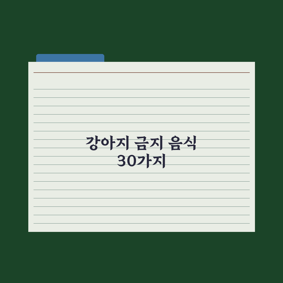 강아지가 먹으면 안 되는 음식 30가지 실전가이드: 전문가가 선별한 핵심