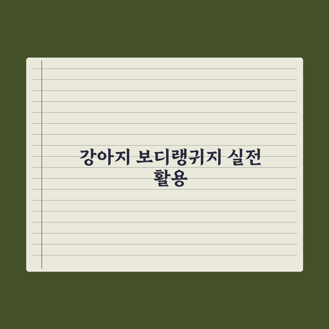 강아지 보디랭귀지 읽는 법 심층분석, 초보 견주를 위한 5단계 실전가이드