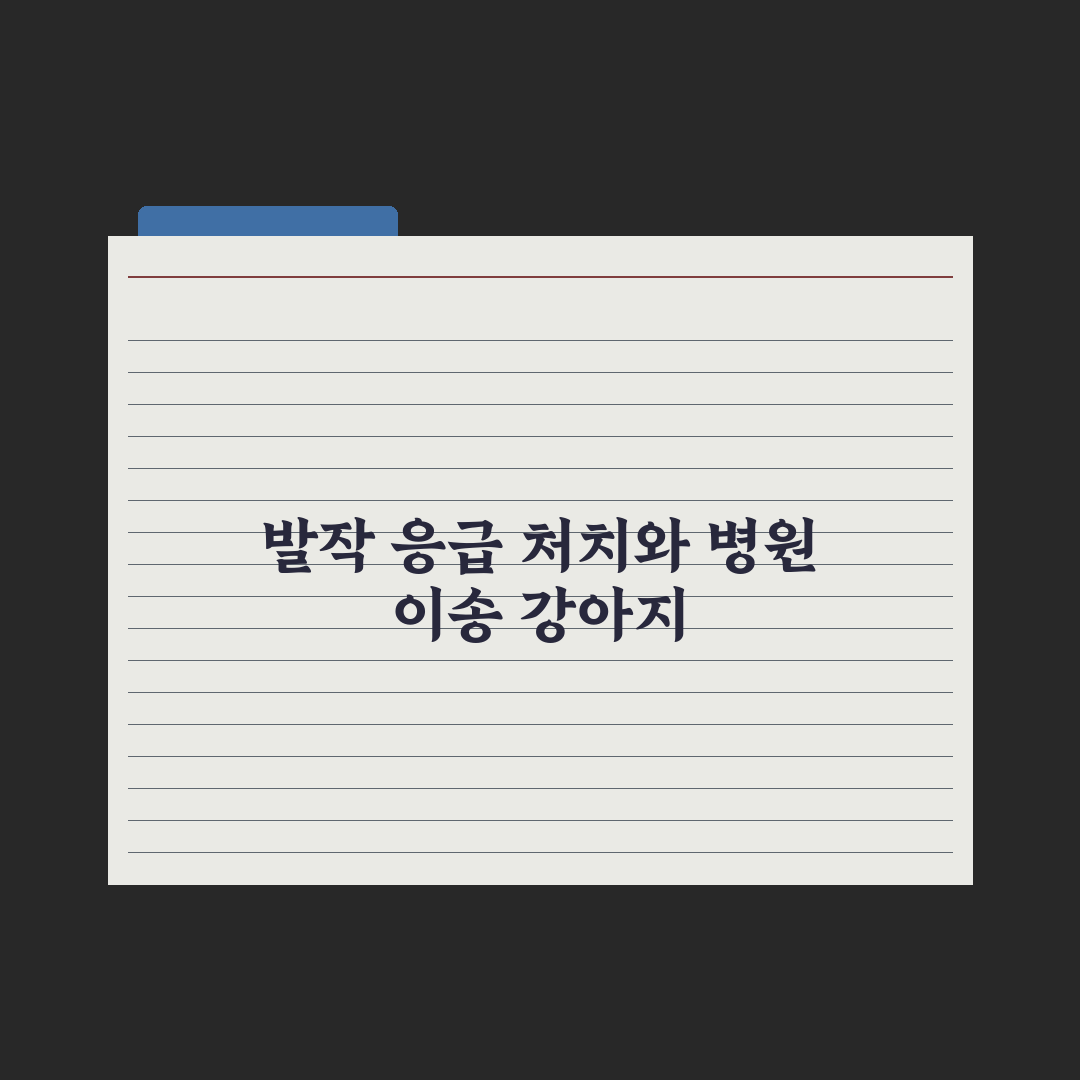 강아지 발작 - 응급 대처와 병원 이송 실전가이드, 전문가 검증 5단계