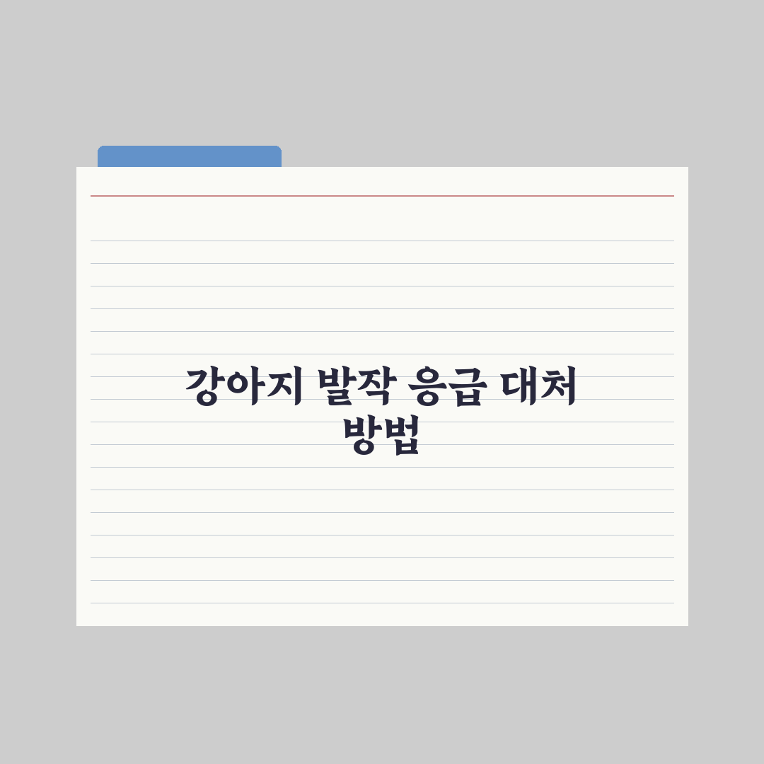 강아지 발작 - 응급 대처와 병원 이송 실전가이드, 전문가 검증 5단계